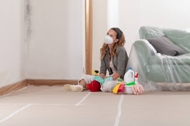 Reliable Black Mold Remediation contractor in Church View, VA by Mold Remediation HQ